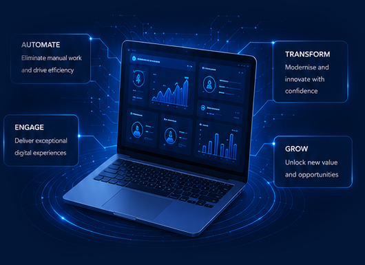 About Digital Vantage Solutions
